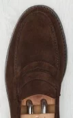 Daim marron