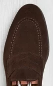 Daim marron